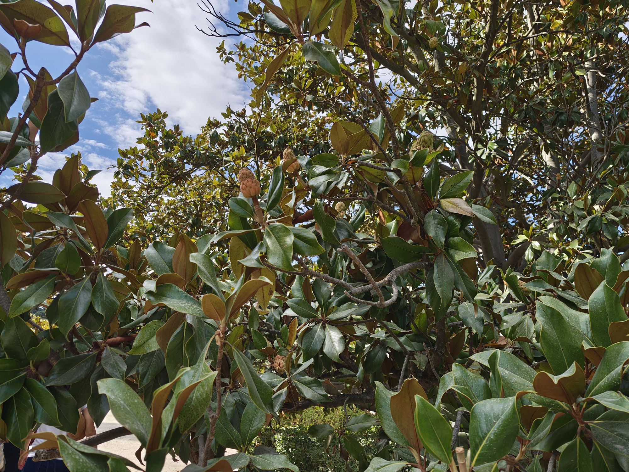 Calle De Bailén Madrid Spain 8