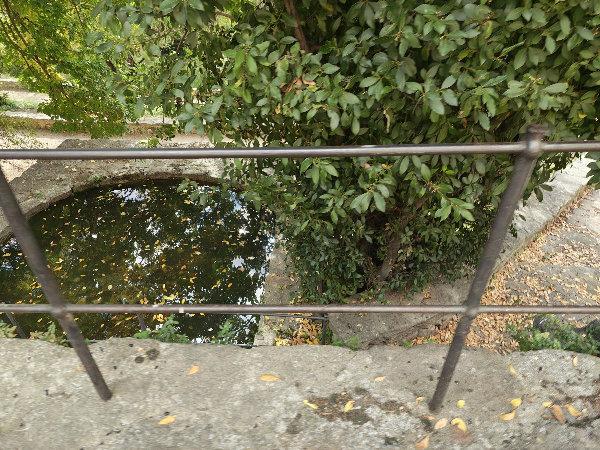 Paseo De Los Tilos Segovia Spain