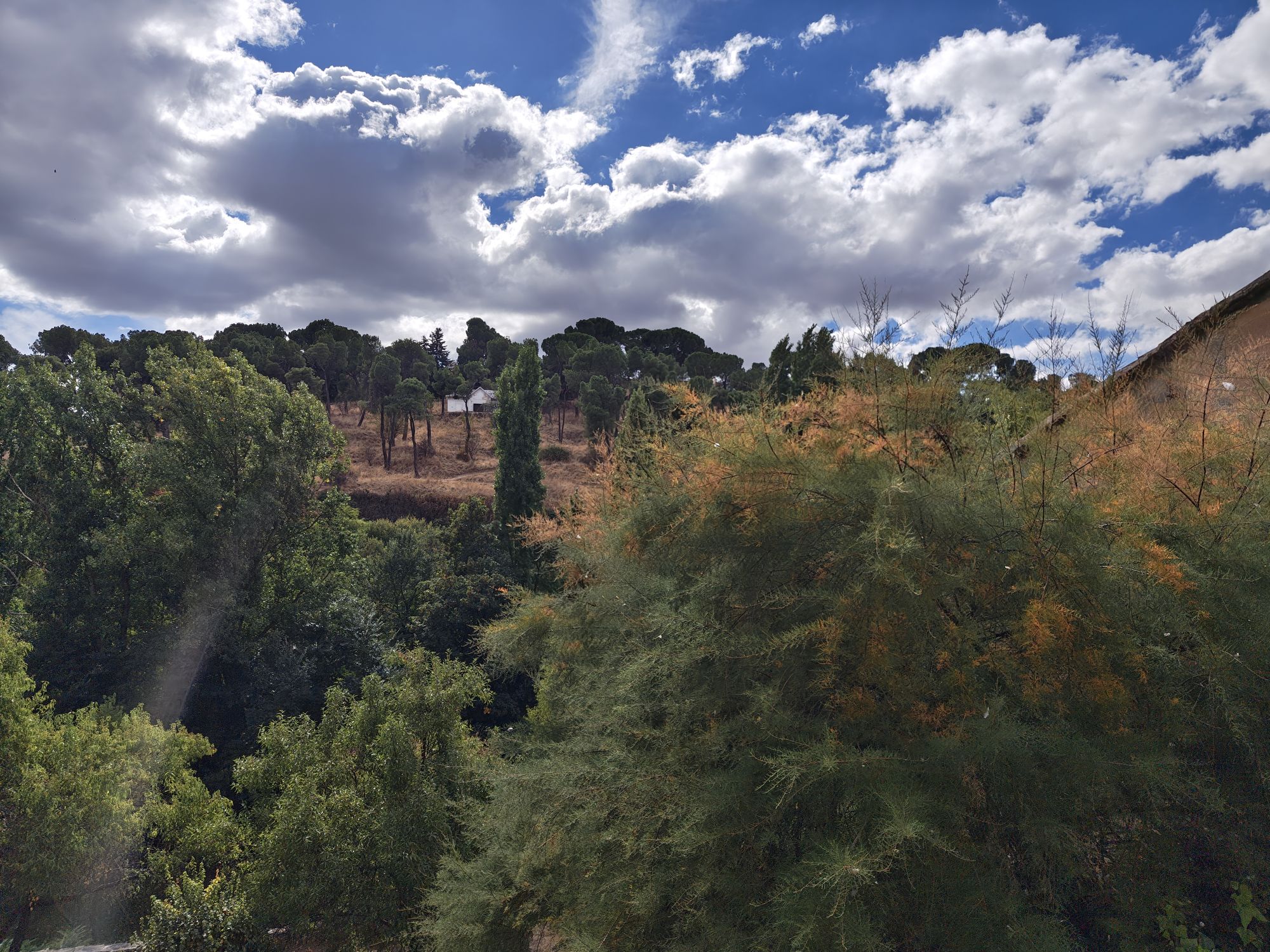 Paseo De Los Tilos Segovia Spain 2